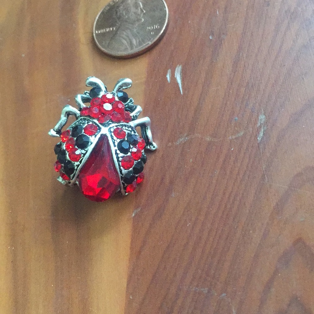 Adorable silver toned ladybug broach